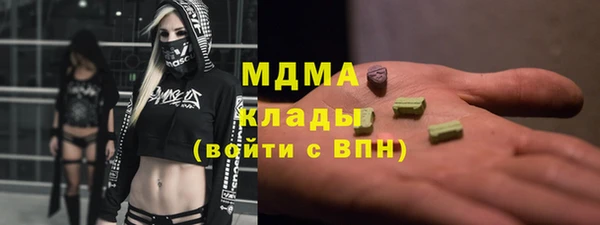 дмт Тайга
